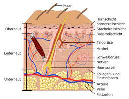 unsere Haut